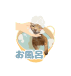 ねこva14期！（個別スタンプ：6）
