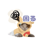 ねこva14期！（個別スタンプ：8）