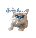 ねこva14期！（個別スタンプ：9）