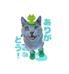 ねこva14期！（個別スタンプ：11）
