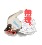 ねこva14期！（個別スタンプ：17）