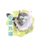 ねこva14期！（個別スタンプ：21）