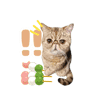 ねこva14期！（個別スタンプ：24）