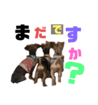 たぐち家の女の子たち2（個別スタンプ：1）
