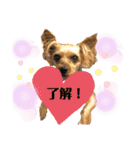 たぐち家の女の子たち2（個別スタンプ：8）