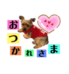 たぐち家の女の子たち2（個別スタンプ：12）
