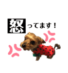 たぐち家の女の子たち2（個別スタンプ：16）
