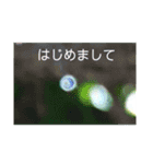 私の撮したお気に入りハッピースタンプ5（個別スタンプ：7）
