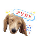 かわぐっさんち（個別スタンプ：8）
