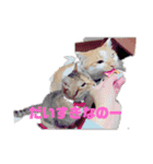 はっちゃんてんちゃん5（個別スタンプ：3）