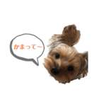 ココちゃんスタンプ♫（個別スタンプ：3）