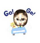 ハル＆チャコ2（個別スタンプ：16）