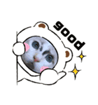 ハル＆チャコ2（個別スタンプ：30）
