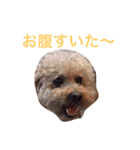 プッチともこりん（個別スタンプ：3）