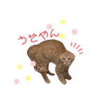 ひひそそくん（個別スタンプ：3）