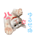 ひひそそくん（個別スタンプ：4）