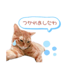 ひひそそくん（個別スタンプ：8）