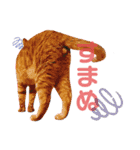 ひひそそくん（個別スタンプ：11）