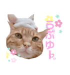 ひひそそくん（個別スタンプ：13）