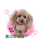 ココのあLOVE（個別スタンプ：14）