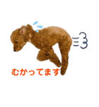 RAM's sticker（個別スタンプ：4）