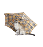 シャムトラと黒猫双子猫（個別スタンプ：32）