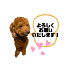 Chloe＆chocolat（個別スタンプ：7）