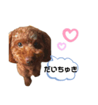 Chloe＆chocolat（個別スタンプ：13）