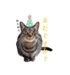 こじゅしかスタンプ（個別スタンプ：3）
