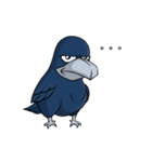 クックー•ザ•カラス (シリーズ 01)（個別スタンプ：7）