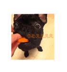 Nickの日常（個別スタンプ：1）