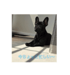 Nickの日常（個別スタンプ：10）