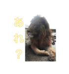 Nickの日常（個別スタンプ：13）
