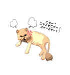 プドリたち（個別スタンプ：6）