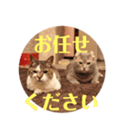 トマロビーのソバで#あんどんSP（個別スタンプ：2）