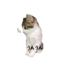 もずぽんすたんぷ2（個別スタンプ：2）