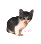 もずぽんすたんぷ2（個別スタンプ：6）