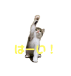もずぽんすたんぷ2（個別スタンプ：7）