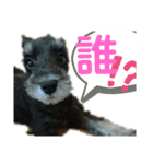 T家のどうぶつ2（個別スタンプ：14）