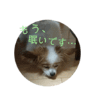 T家のどうぶつ2（個別スタンプ：15）