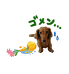 ジェット、チョロ、レン、ダックス、ケイ（個別スタンプ：10）