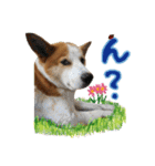 ジェット、チョロ、レン、ダックス、ケイ（個別スタンプ：29）