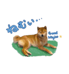 ジェット、チョロ、レン、ダックス、ケイ（個別スタンプ：36）