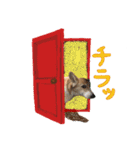 ジェット、チョロ、レン、ダックス、ケイ（個別スタンプ：39）