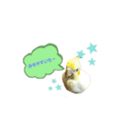 ぴっぴ＆こはく（個別スタンプ：2）