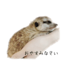 種を超えた仲間たち（個別スタンプ：2）