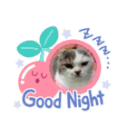 ねこ好きオスス（個別スタンプ：20）