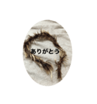 うんちかす（個別スタンプ：2）