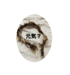 うんちかす（個別スタンプ：5）