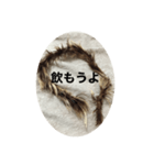 うんちかす（個別スタンプ：11）